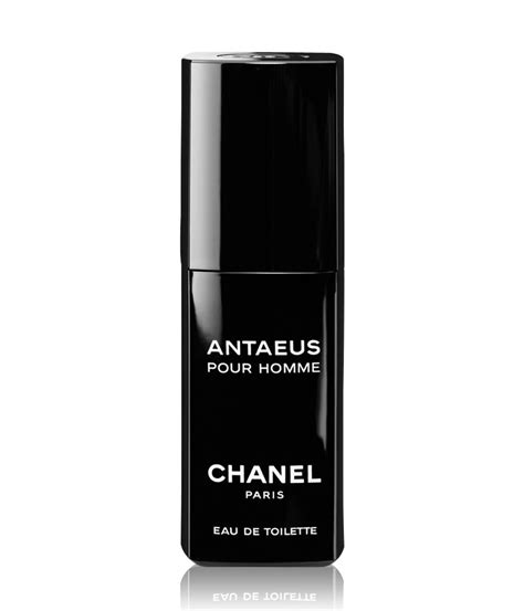 antaeus chanel fragrantica|chanel antaeus price.